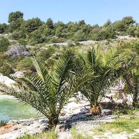 טרוגיר Vila Tatinja מראה חיצוני תמונה
